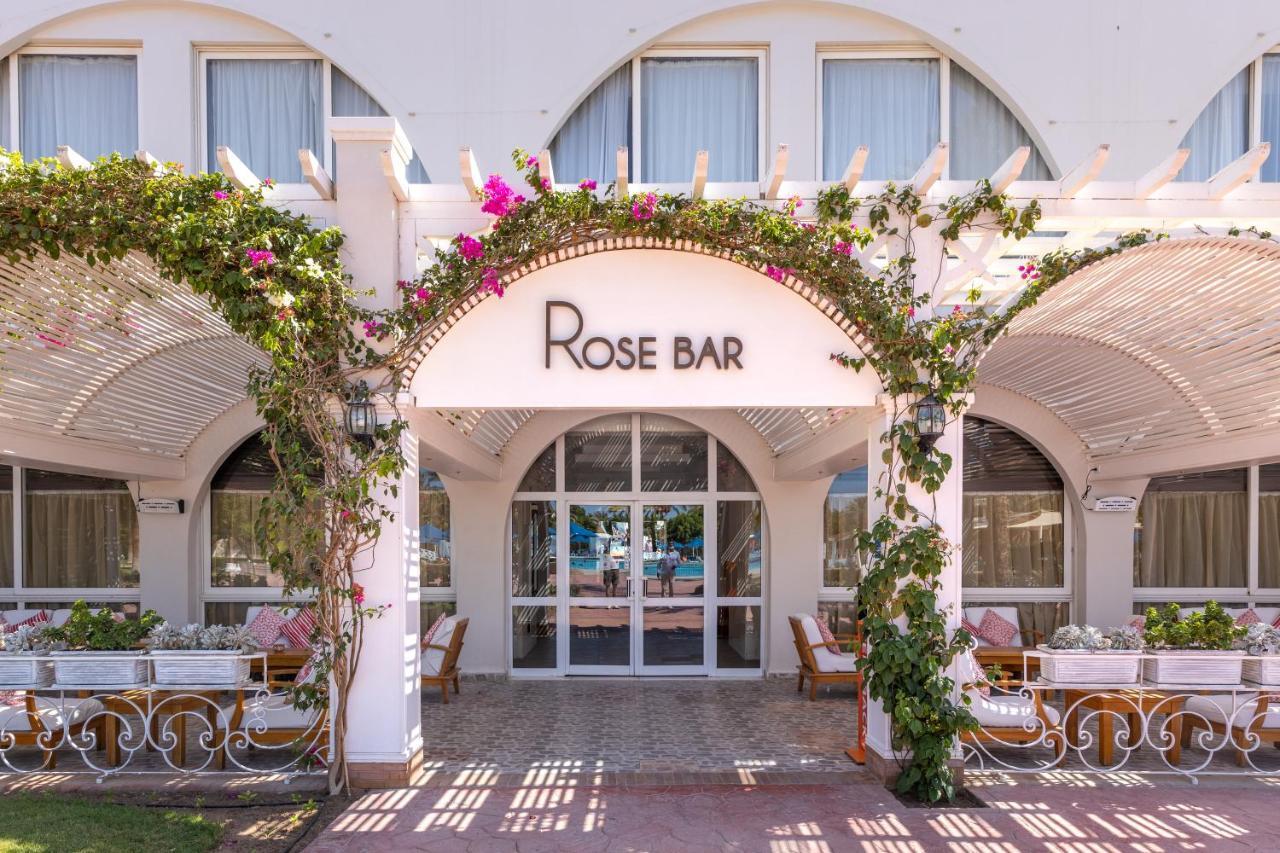 Desert Rose Resort Gurdaka Kültér fotó